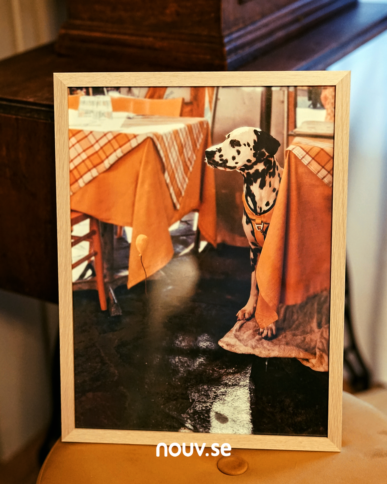 collection_jord_fotografi_photography_swedish_photographs_konst_nouv_nouw_kunst_svenska_konstverk_svenska_fotografier_fiktiva_karaktärer_characeters_creatures karaktärer fotografier fotografi photography swedish artist konst på nätet nouv.se nouw.se handlakonst köpkonst köpfotografi buyart buy photographics buy photography buyphotos